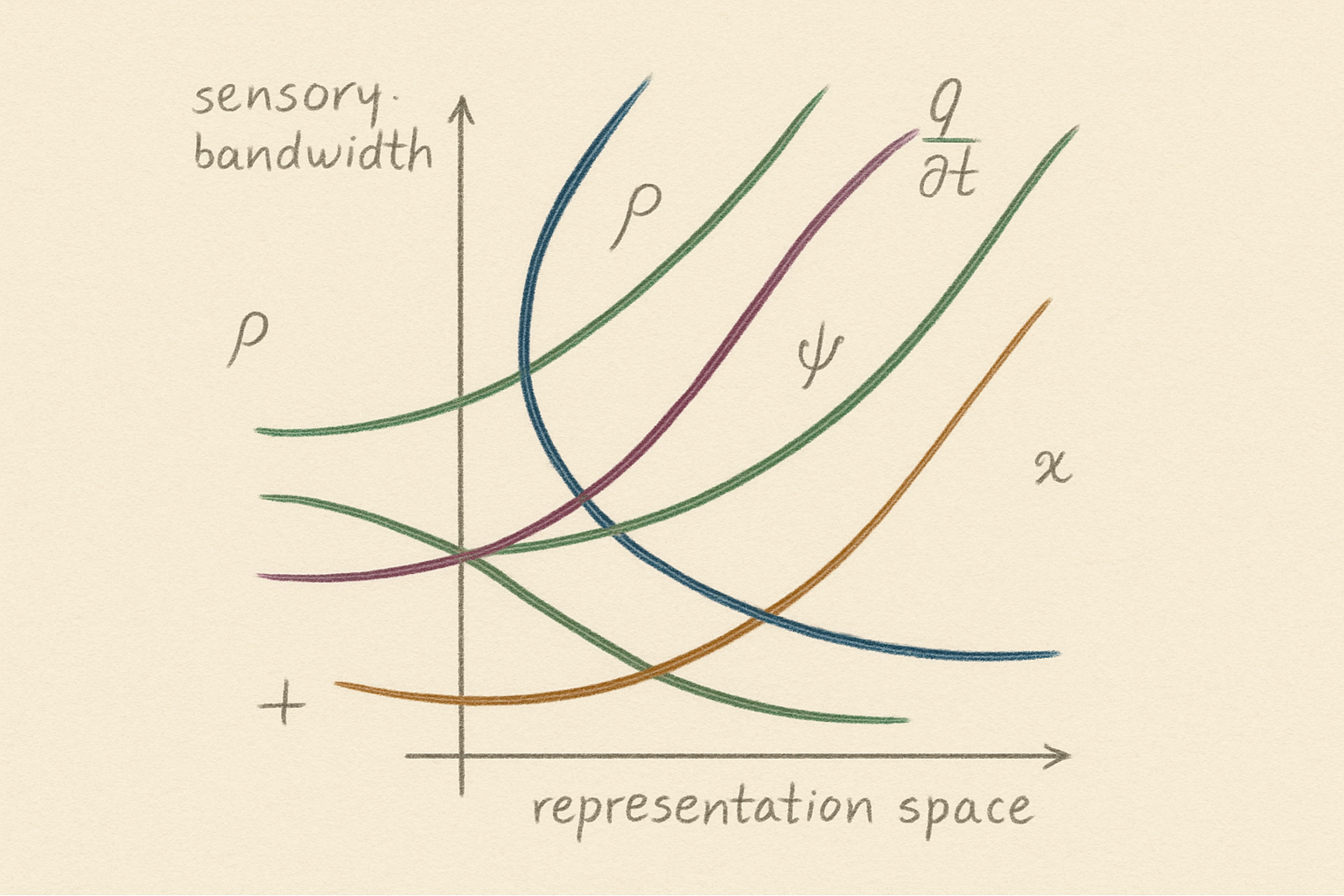 Phase space diagram — internal representation trajectories under increasing sensory bandwidth